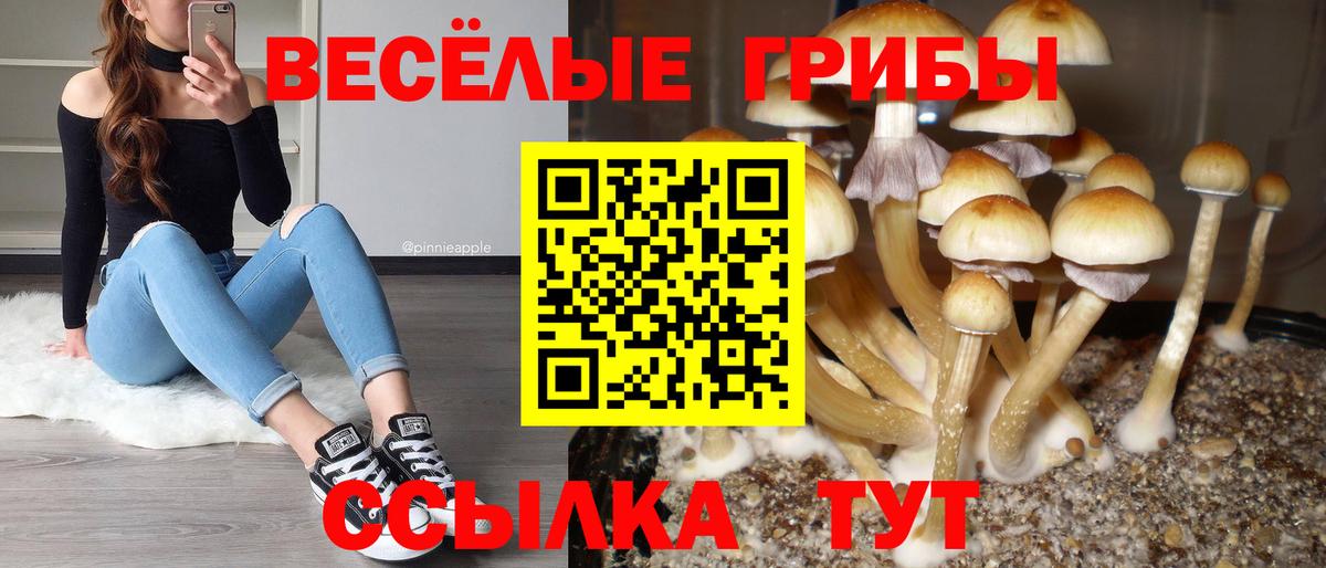 Псилоцибиновые грибы Magic Shrooms  Вход с VPN  Ессентуки 